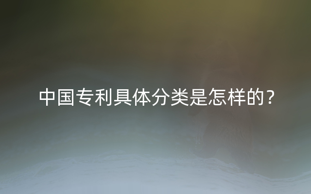 中国专利具体分类是怎样的？