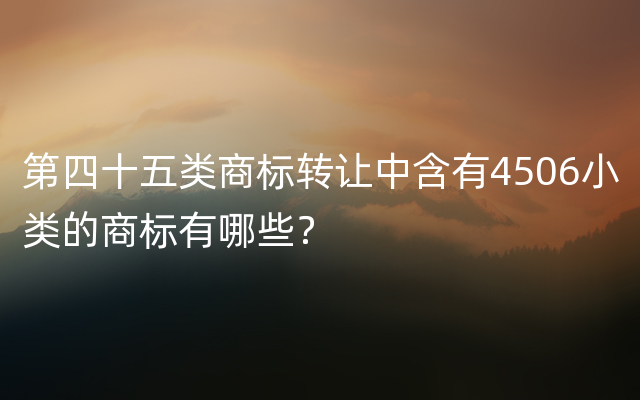 第四十五类商标转让中含有4506小类的商标有哪些？