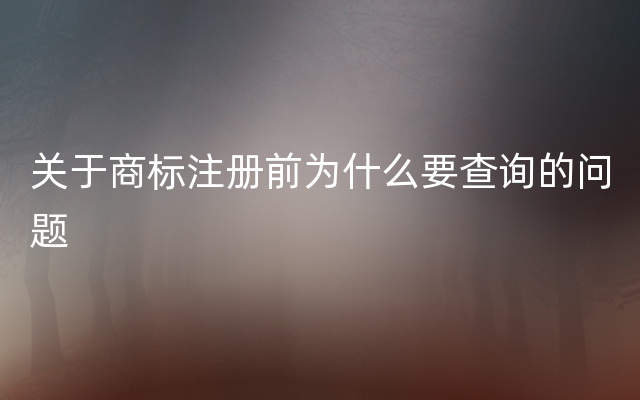 关于商标注册前为什么要查询的问题