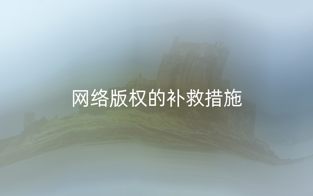 网络版权的补救措施