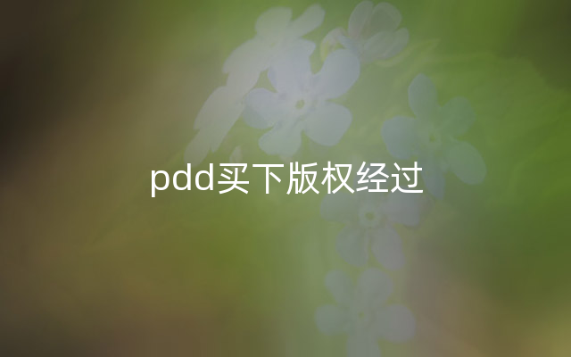 pdd买下版权经过