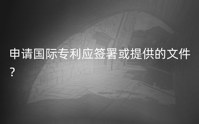 申请国际专利应签署或提供的文件？