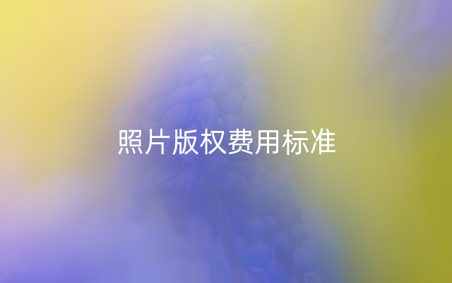 照片版权费用标准