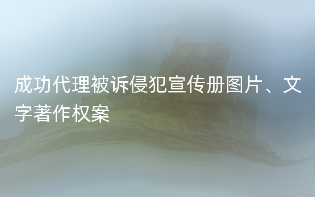 成功代理被诉侵犯宣传册图片、文字著作权案