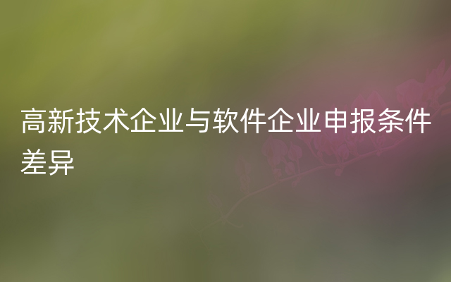 高新技术企业与软件企业申报条件差异