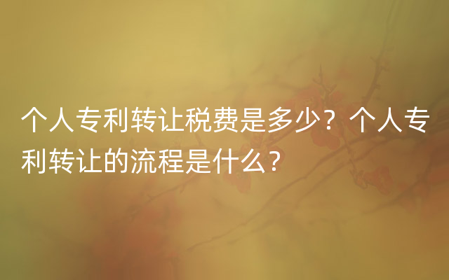 个人专利转让税费是多少？个人专利转让的流程是什么？