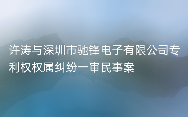 许涛与深圳市驰锋电子有限公司专利权权属纠纷一审民事案