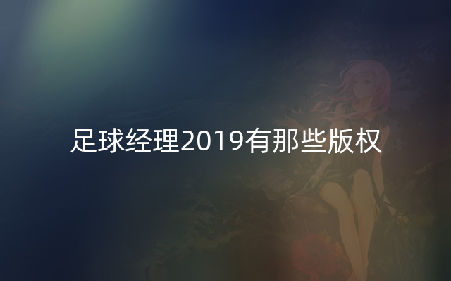 足球经理2019有那些版权