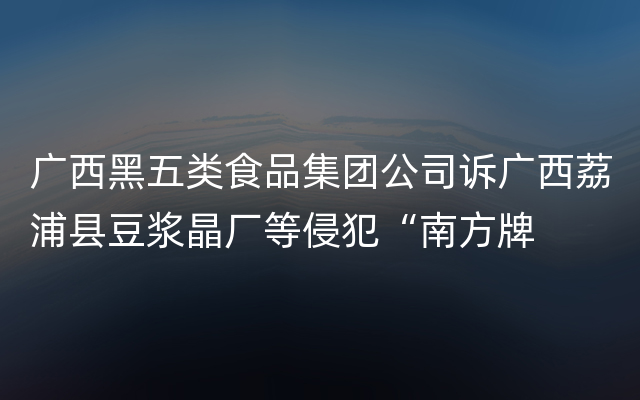 广西黑五类食品集团公司诉广西荔浦县豆浆晶厂等侵犯“南方牌