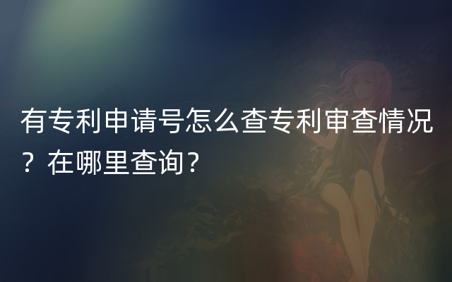 有专利申请号怎么查专利审查情况？在哪里查询？