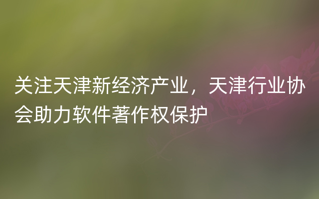 关注天津新经济产业，天津行业协会助力软件著作权保护