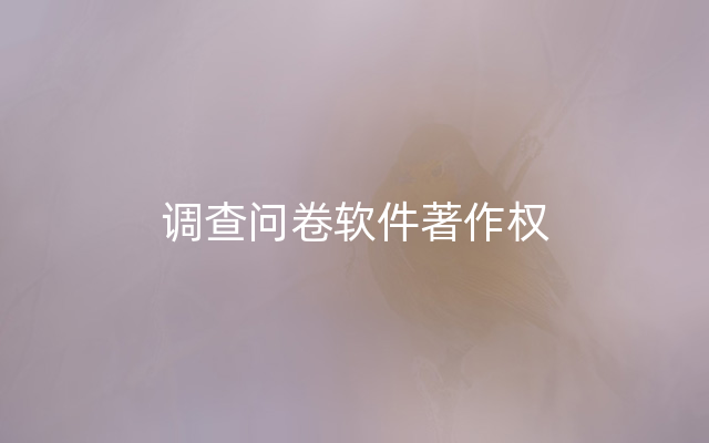 调查问卷软件著作权