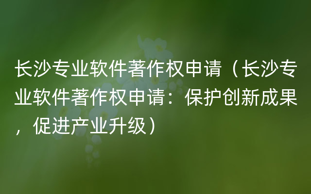 长沙专业软件著作权申请（长沙专业软件著作权申请：保护创新成果，促进产业升级）