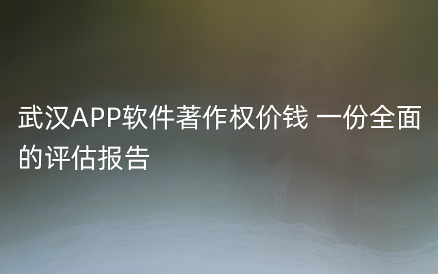 武汉APP软件著作权价钱 一份全面的评估报告