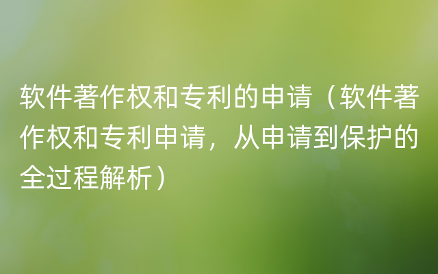 软件著作权和专利的申请（软件著作权和专利申请，从申请到保护的全过程解析）