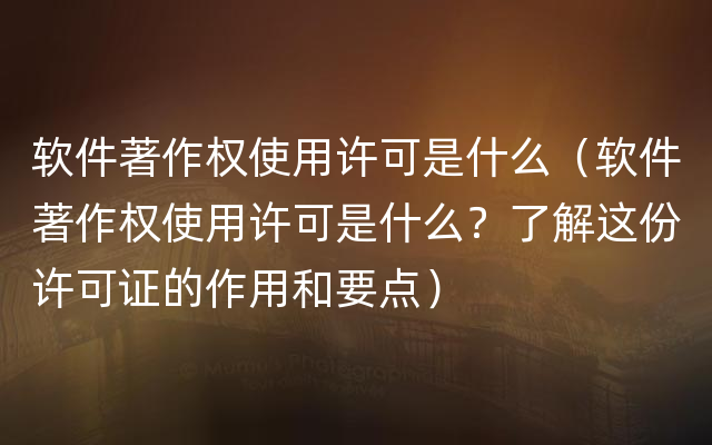 软件著作权使用许可是什么（软件著作权使用许可是什么？了解这份许可证的作用和要点）