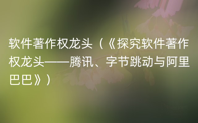 软件著作权龙头（《探究软件著作权龙头——腾讯、字节跳动与阿里巴巴》）