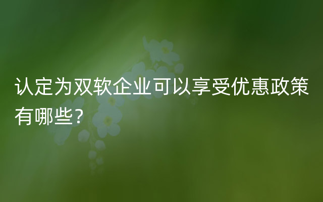 认定为双软企业可以享受优惠政策有哪些？