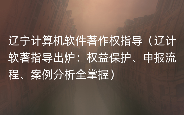 辽宁计算机软件著作权指导（辽计软著指导出炉：权益保护、申报流程、案例分析全掌握）