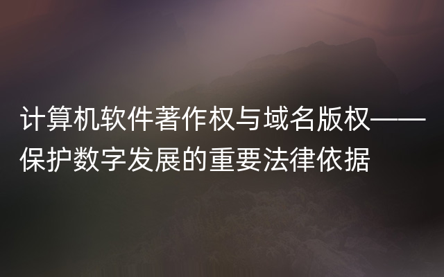 计算机软件著作权与域名版权——保护数字发展的重要法律依据