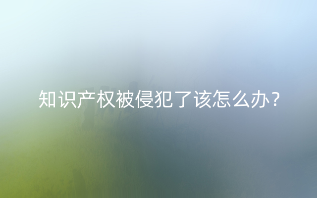 知识产权被侵犯了该怎么办？