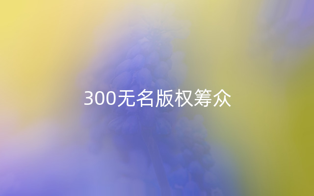 300无名版权筹众