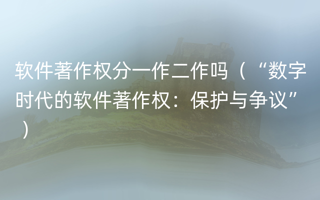 软件著作权分一作二作吗（“数字时代的软件著作权：保护与争议” ）