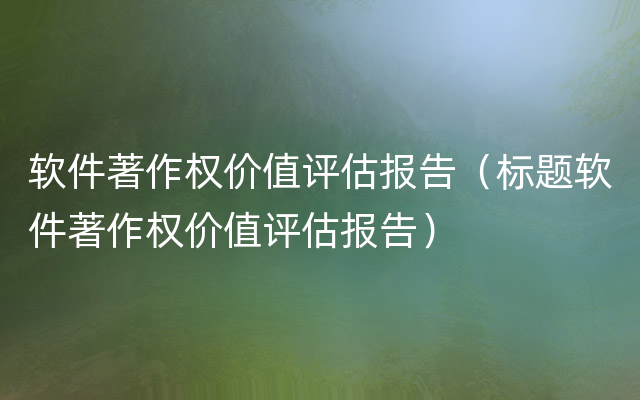 软件著作权价值评估报告（标题软件著作权价值评估报告）