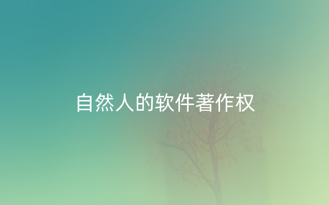 自然人的软件著作权