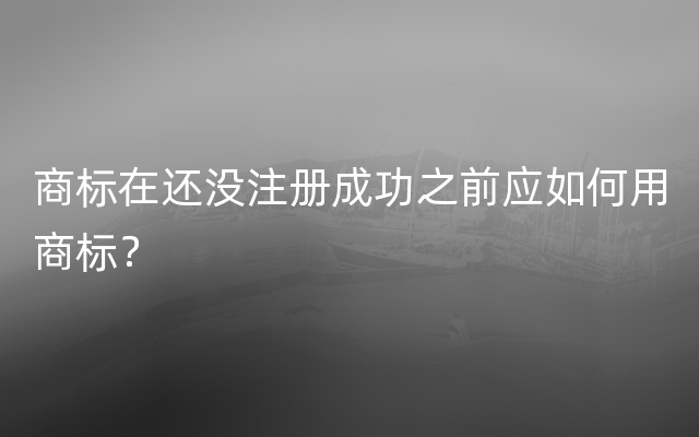 商标在还没注册成功之前应如何用商标？