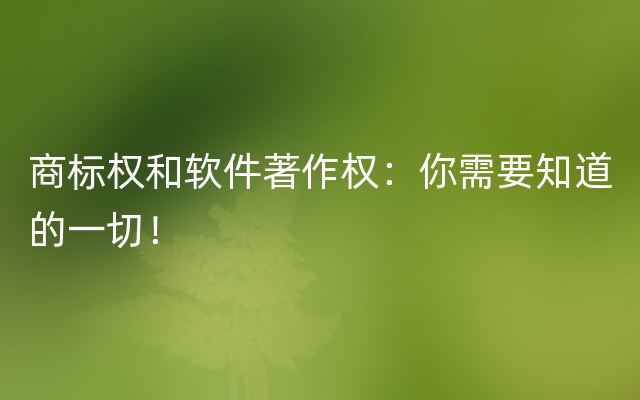 商标权和软件著作权：你需要知道的一切！