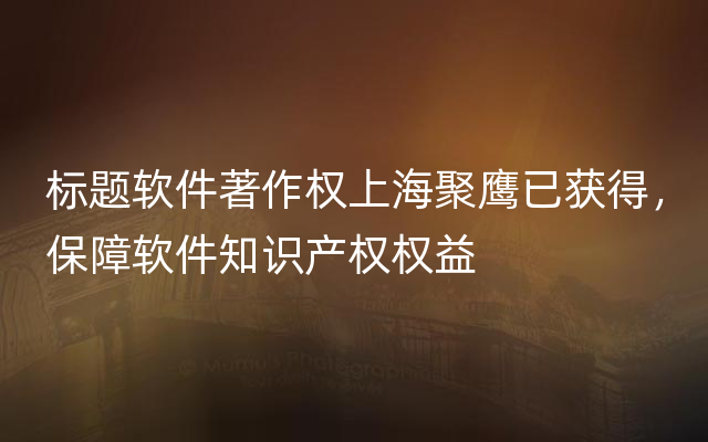 标题软件著作权上海聚鹰已获得，保障软件知识产权权益
