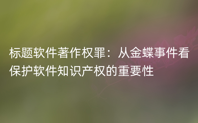 标题软件著作权罪：从金蝶事件看保护软件知识产权的重要性