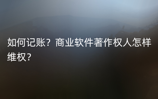 如何记账？商业软件著作权人怎样维权？