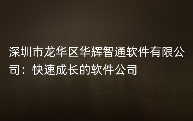 深圳市龙华区华辉智通软件有限公司：快速成长的软件公司