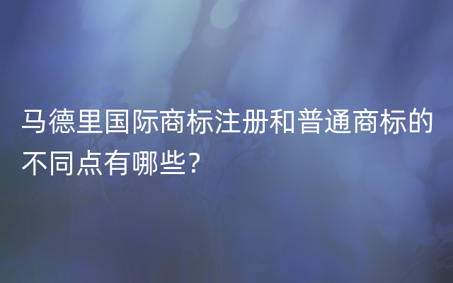 马德里国际商标注册和普通商标的不同点有哪些？