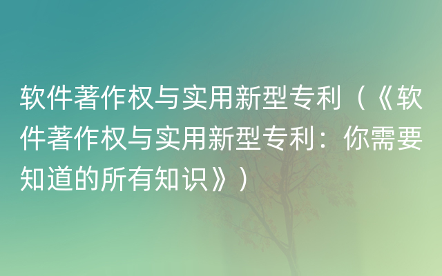 软件著作权与实用新型专利（《软件著作权与实用新型专利：你需要知道的所有知识》）