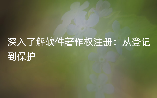 深入了解软件著作权注册：从登记到保护