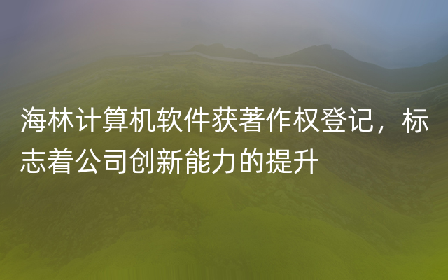 海林计算机软件获著作权登记，标志着公司创新能力的提升