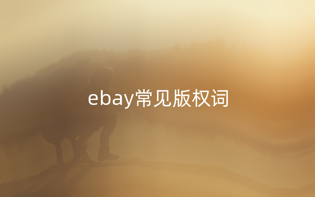 ebay常见版权词