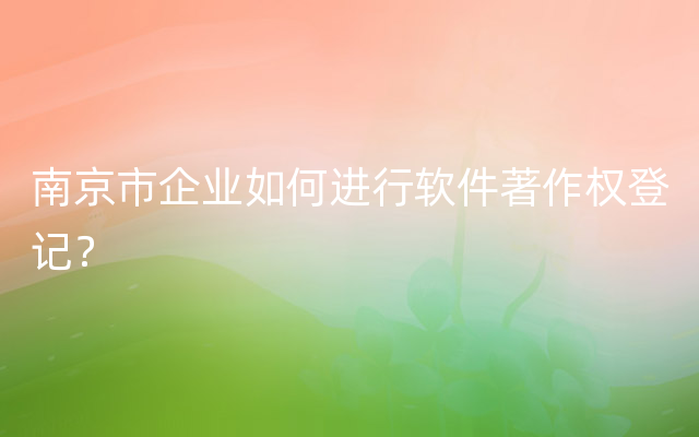 南京市企业如何进行软件著作权登记？