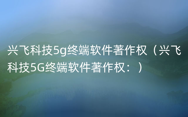 兴飞科技5g终端软件著作权（兴飞科技5G终端软件著作权：）