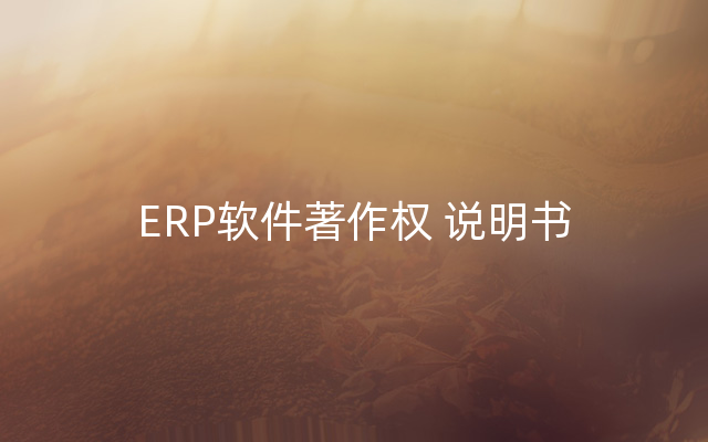 ERP软件著作权 说明书