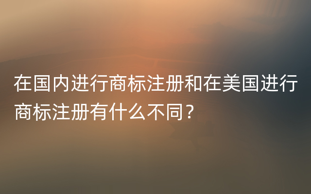 在国内进行商标注册和在美国进行商标注册有什么不同？