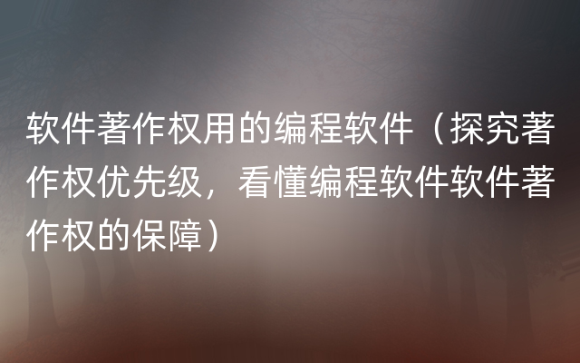 软件著作权用的编程软件（探究著作权优先级，看懂编程软件软件著作权的保障）