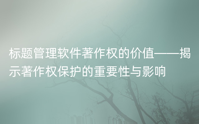 标题管理软件著作权的价值——揭示著作权保护的重要性与影响