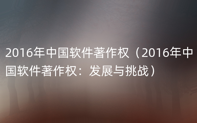 2016年中国软件著作权（2016年中国软件著作权：发展与挑战）
