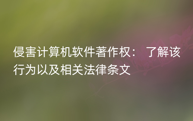 侵害计算机软件著作权： 了解该行为以及相关法律条文