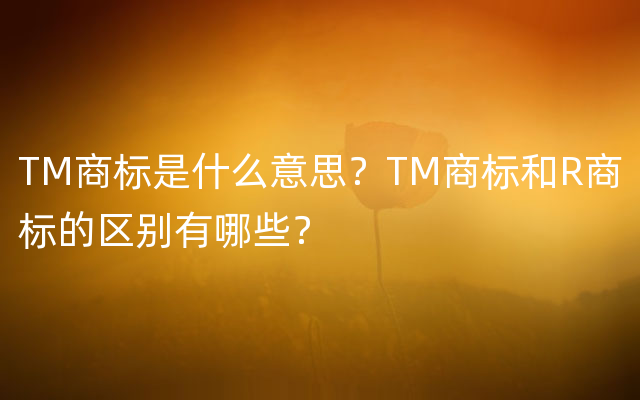 TM商标是什么意思？TM商标和R商标的区别有哪些？