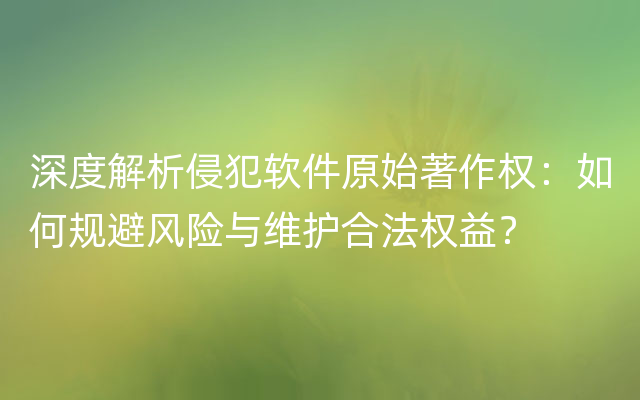 深度解析侵犯软件原始著作权：如何规避风险与维护合法权益？